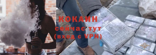 мет Бородино