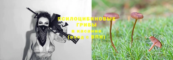 mdpv Бугульма