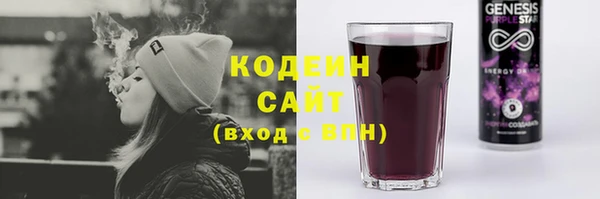 мет Бородино