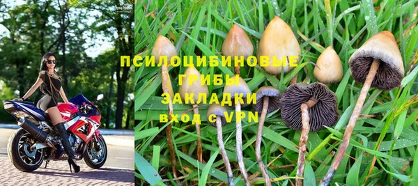 герыч Бронницы