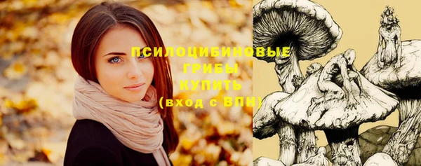 мет Бородино